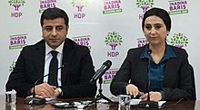 Opposition politicians Selahattin Demirtas and Figen Yuksekdag had been arrested on terrorism charges. Yuksekdag and Demirtas.jpg