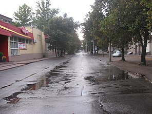 Вигляд з вулиці Данилевського