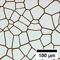 Durch Koaleszenz von Entnetzungs-Löchern gebildete Polygone mit einer Struktur, die Voronoi-Diagrammen ähnelt.