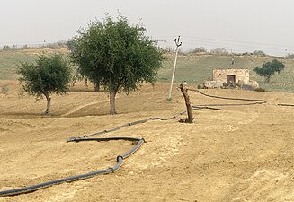 Système d'irrigation et champs sur une exploitation agricole près de Bikaner.
