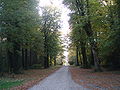 Viale del parco del castello