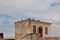 pitite منزه, avou les montêyes, et ene colebire sol toet