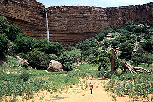 Bandiagara kiria, aotcaf debak