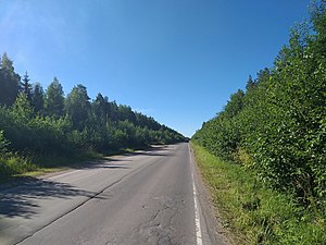 Дорога «Чаща-Кремено». Вид на юг от СНТ Сокол.