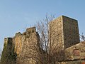 Château de Saint-Germain-au-Mont-d'Or