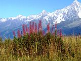 Uitzicht op Mont Blanc massief.