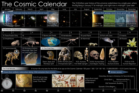 A graphical view of the Cosmic Calendar, featuring the months of the year, days of December, and the final minute. Cosmic Calendar.png