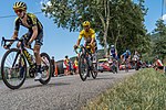 Vignette pour 11e étape du Tour de France 2019
