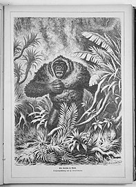 Илустрација гориле