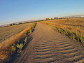 Dirt road in Fremont, California