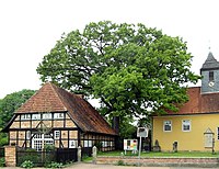 Eiche an der Lenther Kirche