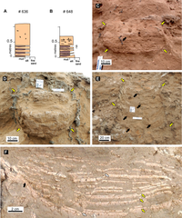 Cerro Azul Formation