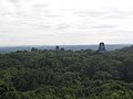 Tikal