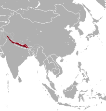 Hemitragus jemlahicus range map.png