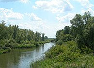 De Biesbosch