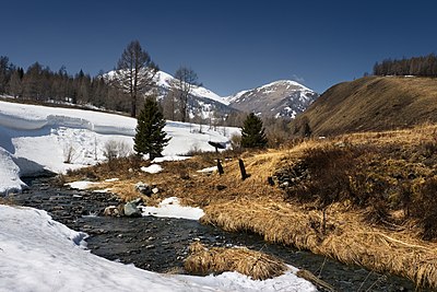 Markakol-reservaat in die Altai-gebergte, Kasakstan.