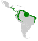 Distribuição de Lichonycteris obscura na América Central e América do Sul