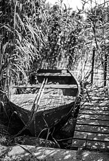 Picture of a boat taken on Fomapan R 100 black-and-white reversal film