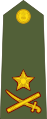 Generalmajor Divisjonssjef Gjennom utvalg