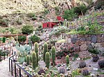 Miniatura para Jardín botánico Chirau Mita