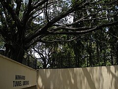 Byrasandra and Lakkasandra campuses underpass