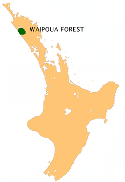 Waipouaskovens placering i New Zealand