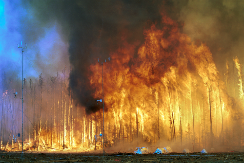Эксперимент по изучению верхового лесного пожара на северо-западе Канады.