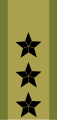 Generalløytnant[३९] (Norwegian Army)