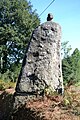 Menhir de Landes-Ros