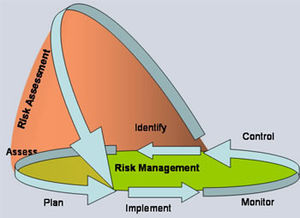 Risk management sub processes