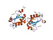 1nu4: U1A RNA binding domain at 1.8 angstrom resolution reveals a pre-organized C-terminal helix