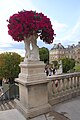 Jardin du Luxembourg