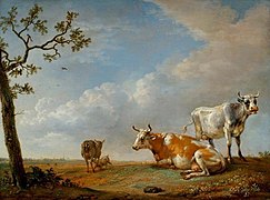 Cows Animals Resting in the Pasture (1650)