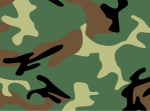 Main (4-colour woodland) variant of Chinese People's Liberation Army Type 99 pattern, c. 2006