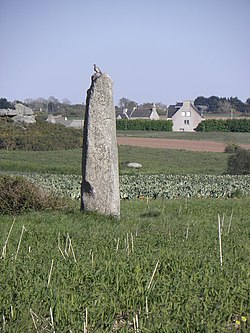 Image illustrative de l’article Menhir d'Irvit