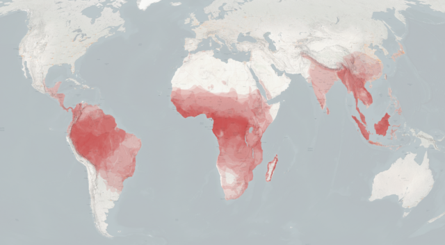 Map of the world, with parts of South America, Africa, and southeast Asia shaded red