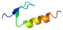 Протеин POLH PDB 2i5o.png