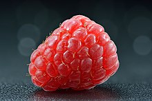 Raspberry - whole (Rubus idaeus).jpg