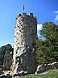 Ruine Neu-Falkenstein