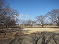 site of the Lecture Hall