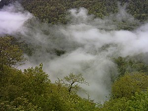Сисанганский национальный лес.jpg