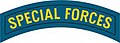 Special Forces Tab