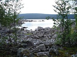 Storjuktan sedd från Skärfonäset i norr, med vattenmagasinets eroderade stränder i förgrunden.