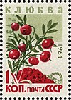 The Soviet Union 1964 CPA 3132 stamp (Wild Berries. Cranberry or common cranberry (Vaccinium oxycoccos)).jpg