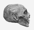 Kopf der Mumie im Profil