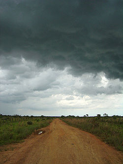 A road in Vichada, 2006