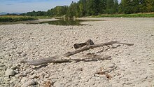 The River Trebbia, a tributary of the Po, pictured in summer 2017, is vulnerable to drought Where the river ends.jpg