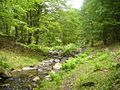 Salakova River