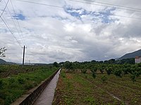 混板村附近的農田（攝於2018年）