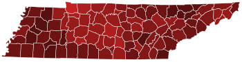 Final results by county